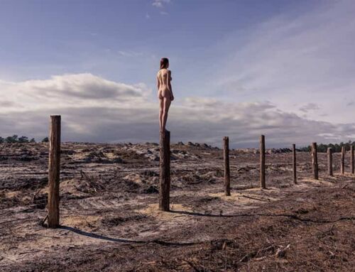 Portfolio I / Fotógrafa Brooke Di Donato