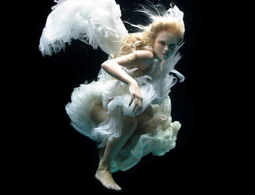 Angels / Fotógrafa Zena Holloway